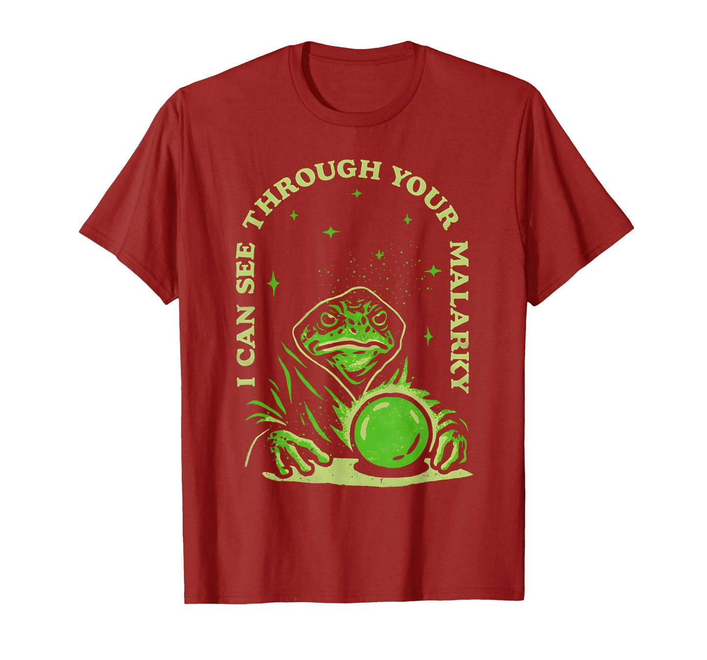 I Can See Through Your Malarky Frog Wizard T-Shirt