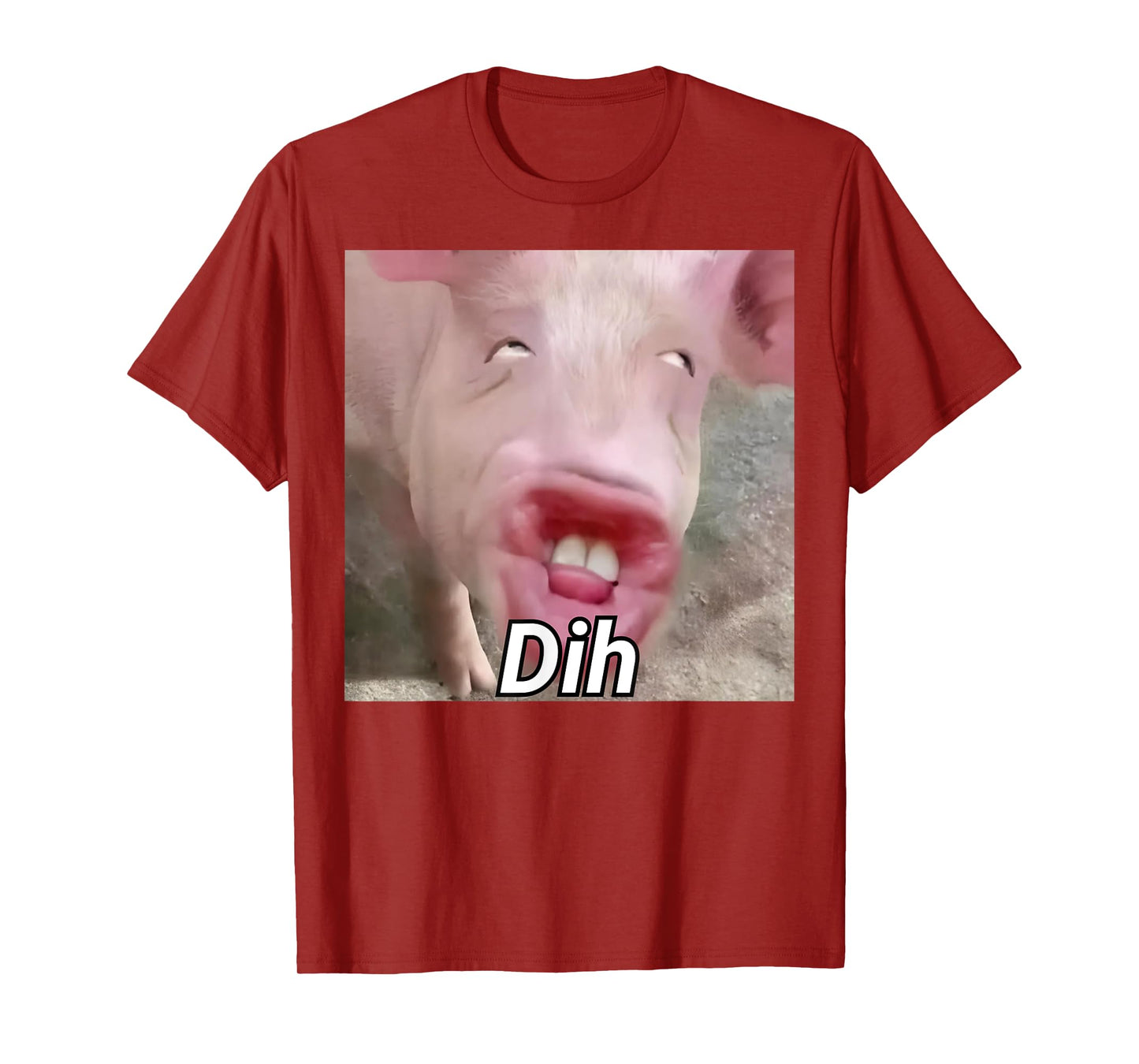 funny dih brainrot gen z humor pork meme dihh meme gen alpha T-Shirt