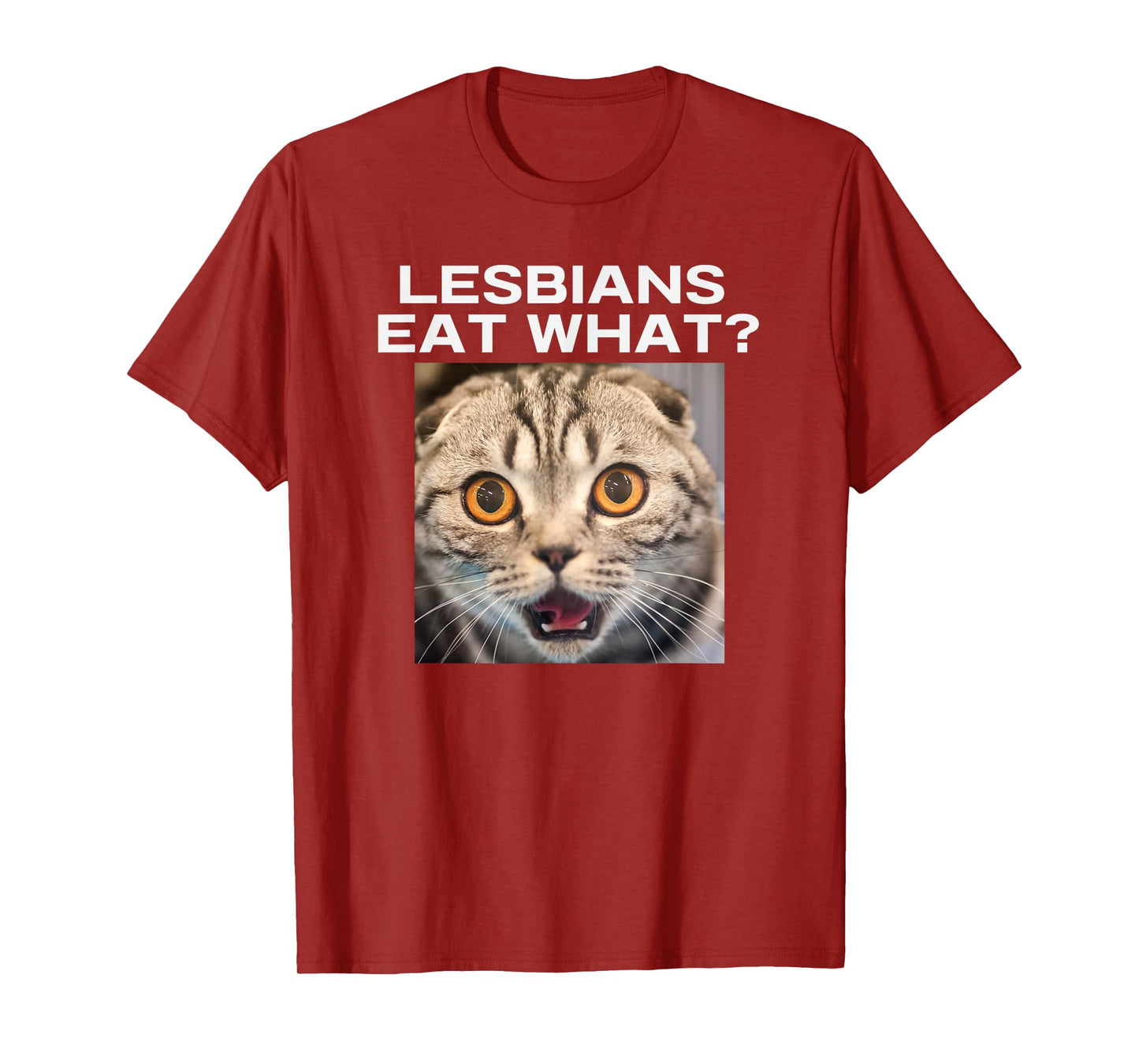 Lesbians Eat What Adult Humor Pun Gag Funny Statement Joke T-Shirt