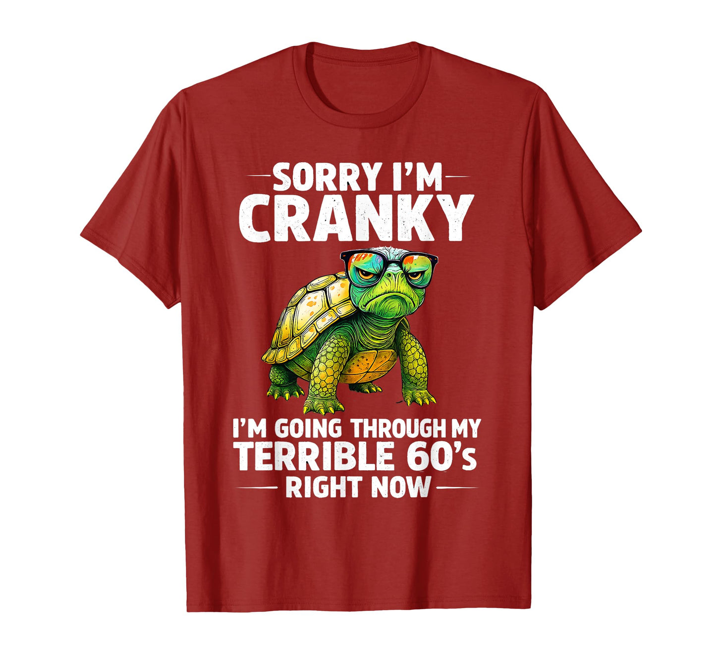 Sorry I’m Cranky I’m Going Through My Terrible 60s Turtle T-Shirt
