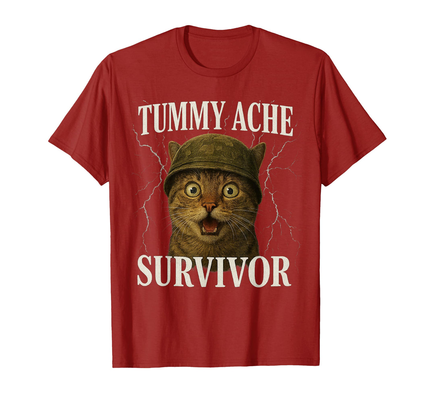 Funny Saying Cat Tummy Ache Survivor Meme Survived Today's T-Shirt