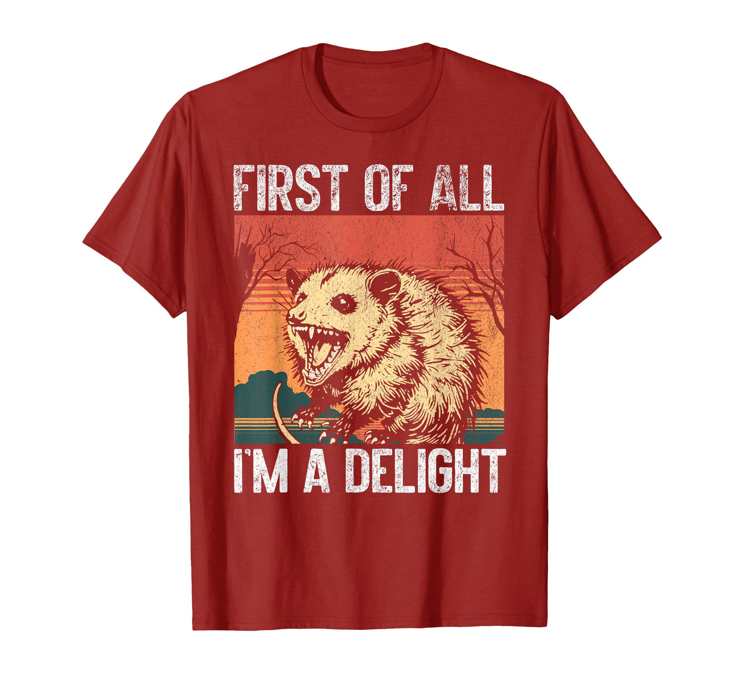 First Of All I'm a Delight Funny Opossum Sarcastic Retro T-Shirt