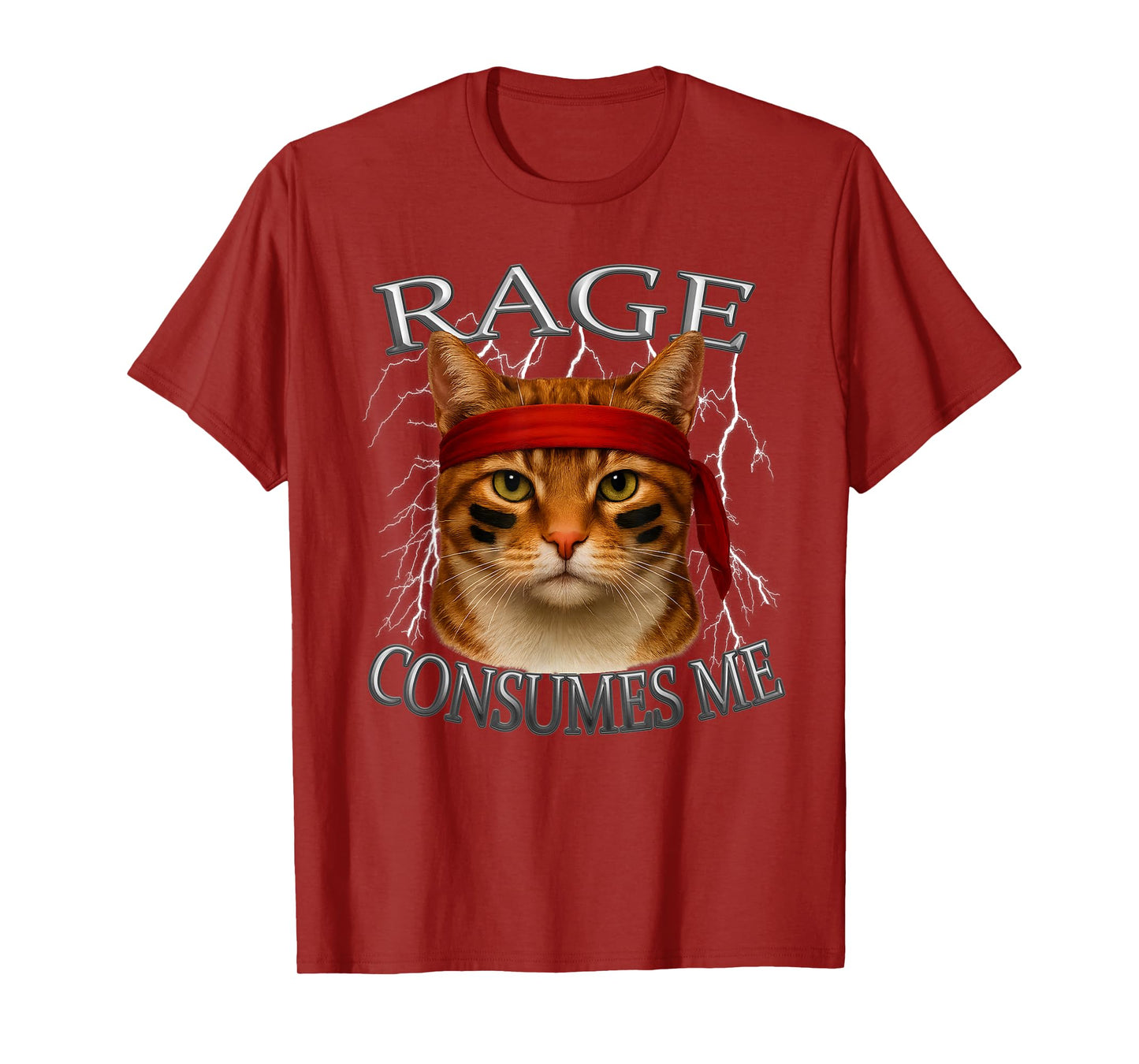 Orange Tabby Cat Meme Internet Sarcastic Rage Consumes Me T-Shirt