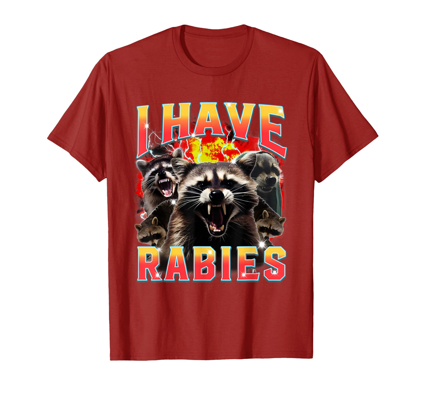 I Have Rabies Racoon Meme Shirt Opossum Humor Sarcasm T-Shirt