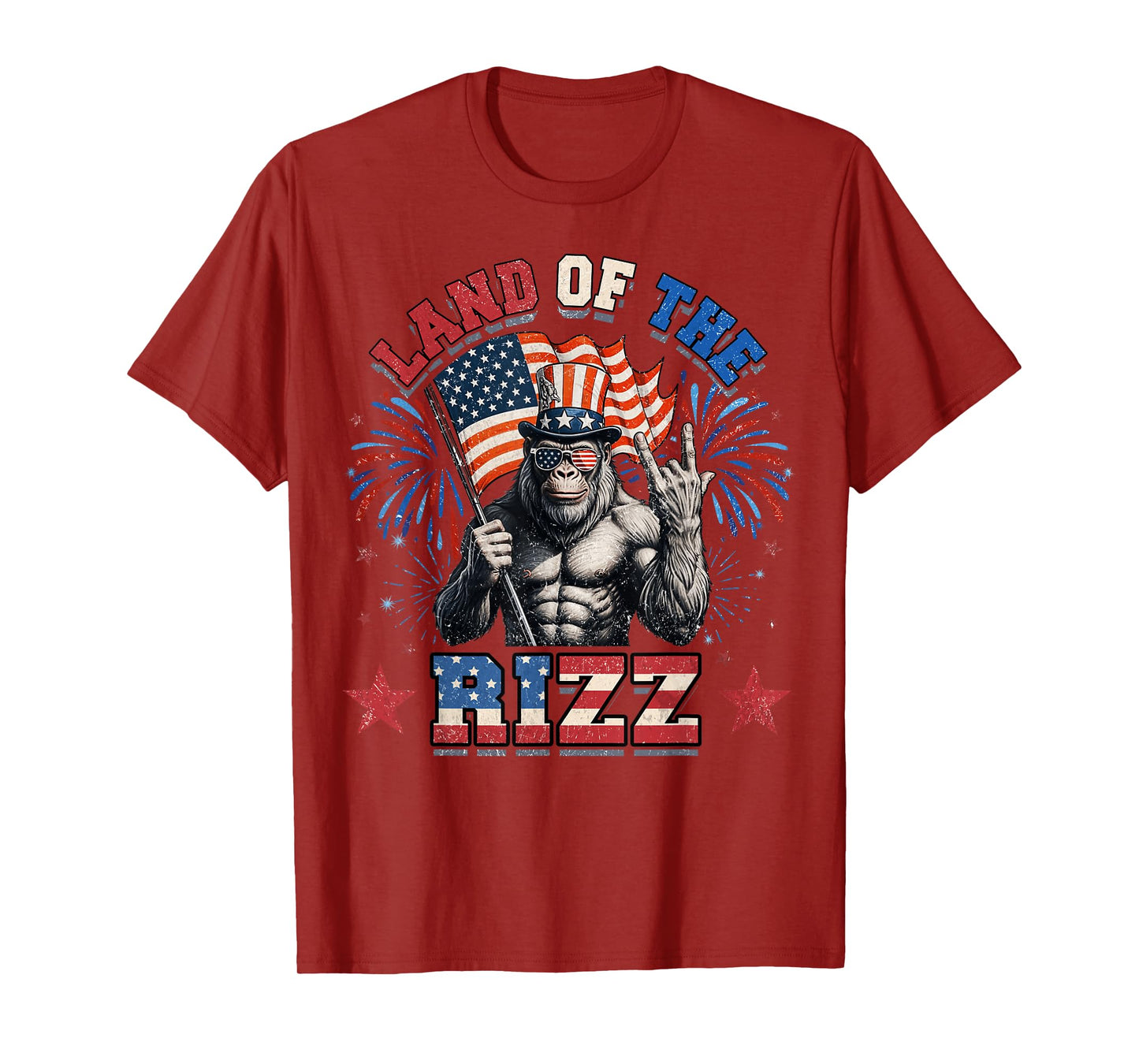 Land Of The Rizz 4th Of July T-Shirt