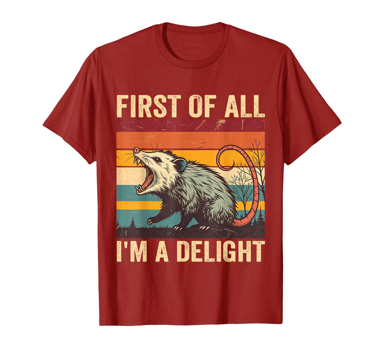 First Of All I'm A Delight Angry Possum Opossum Sarcastic T-Shirt
