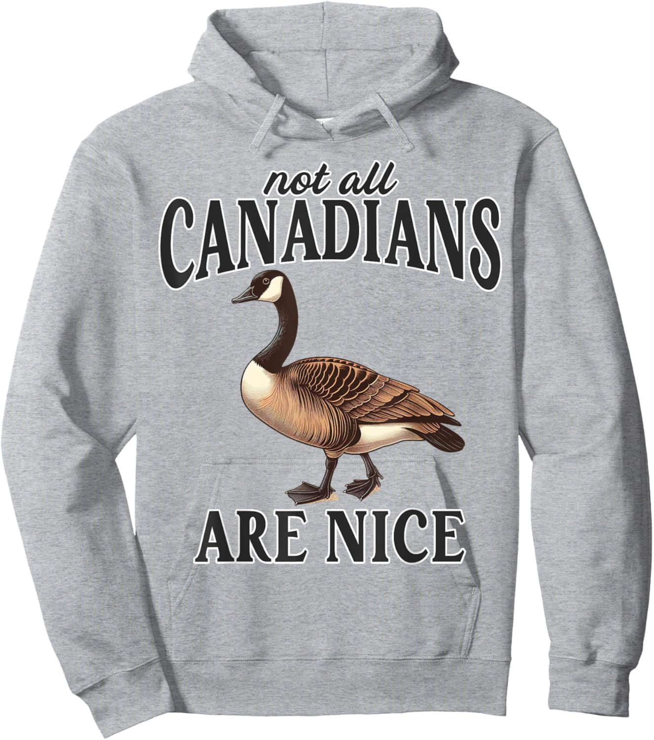 Canadian Not All Canadians Are Nice Sarcastic Funny Goose Hoodie - Hoodie | Ash