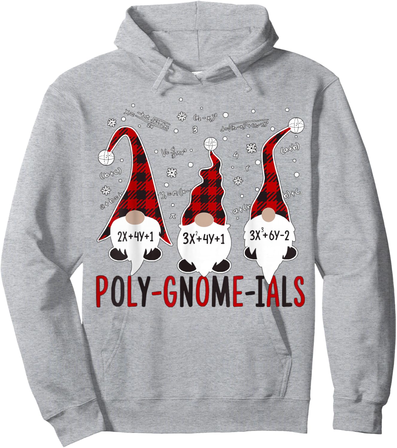 Fun Polynomial Calculus Algebra Poly-Gnome-ials Math Teacher Hoodie - Hoodie | Ash