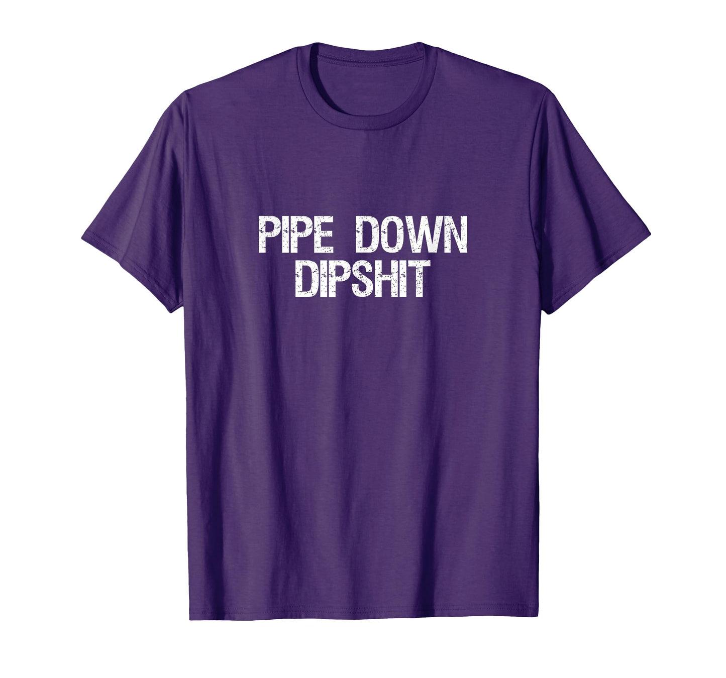 Pipe Down Dipshit Shirt Funny Correction Guy Meme Saying T-Shirt