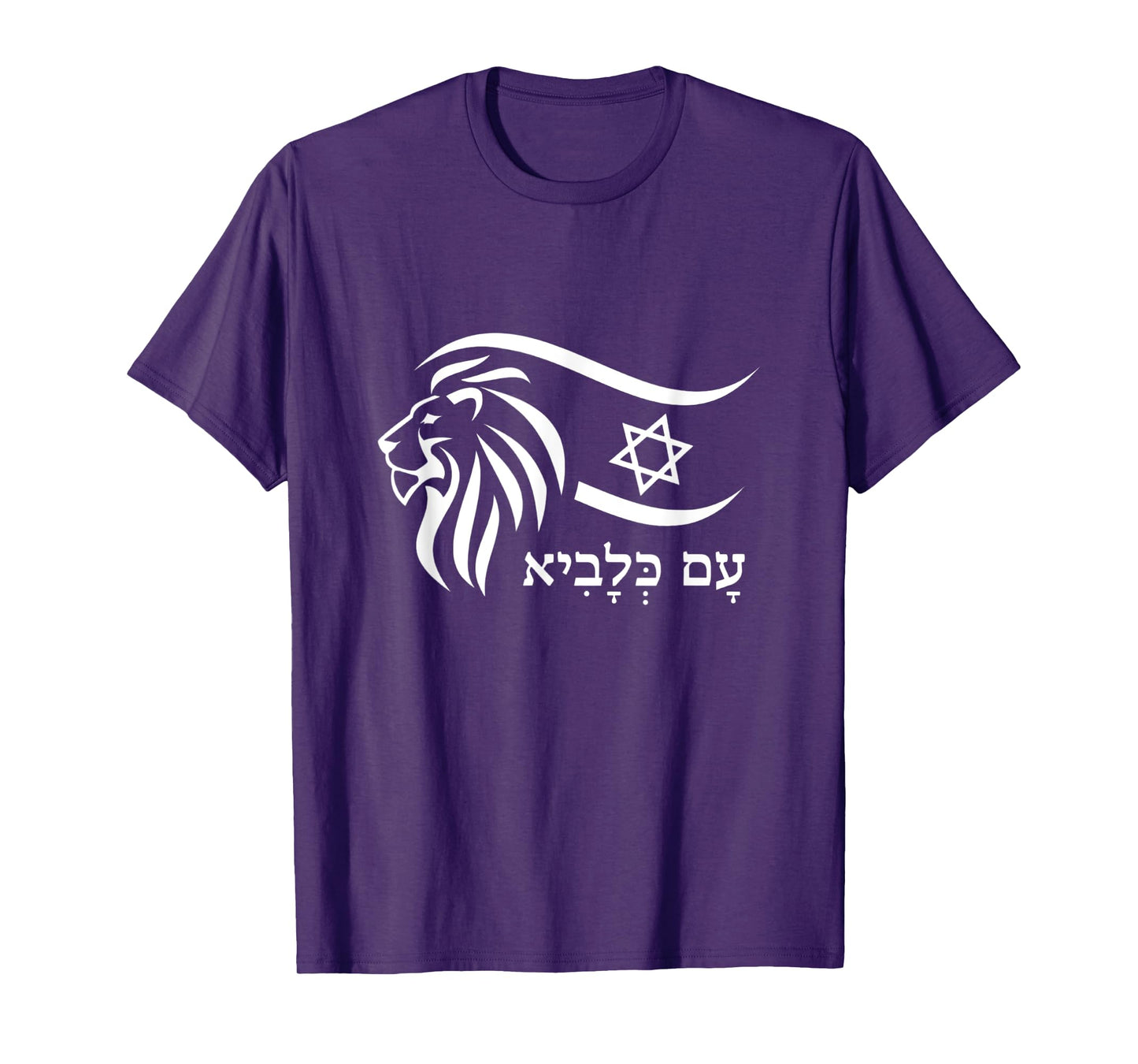 Rising Lion Nation Of Israel Jewish Bible Am Israel Chai T-Shirt