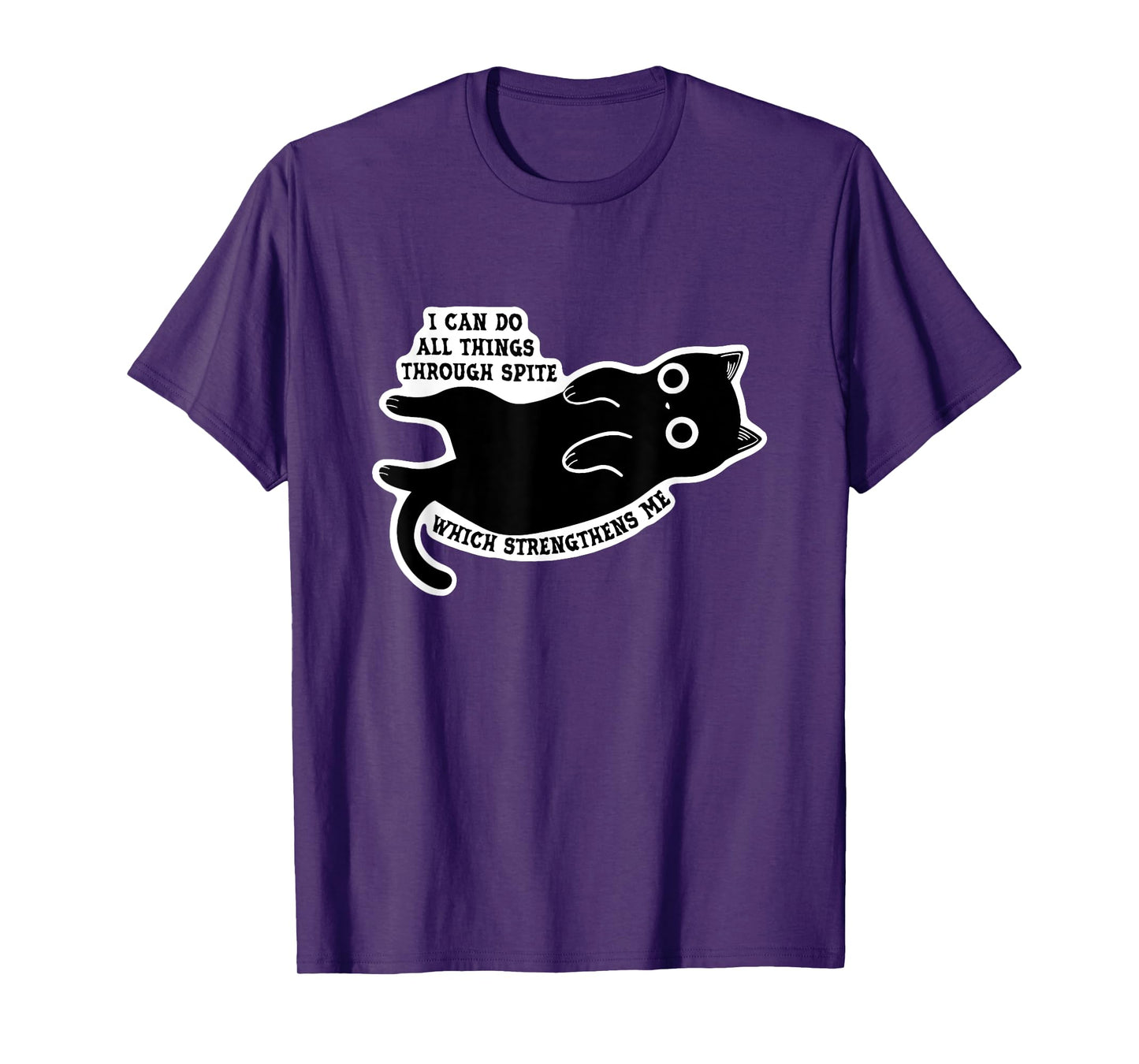 I Can Do All Things Through Spite Which Strengthens Me T-Shirt