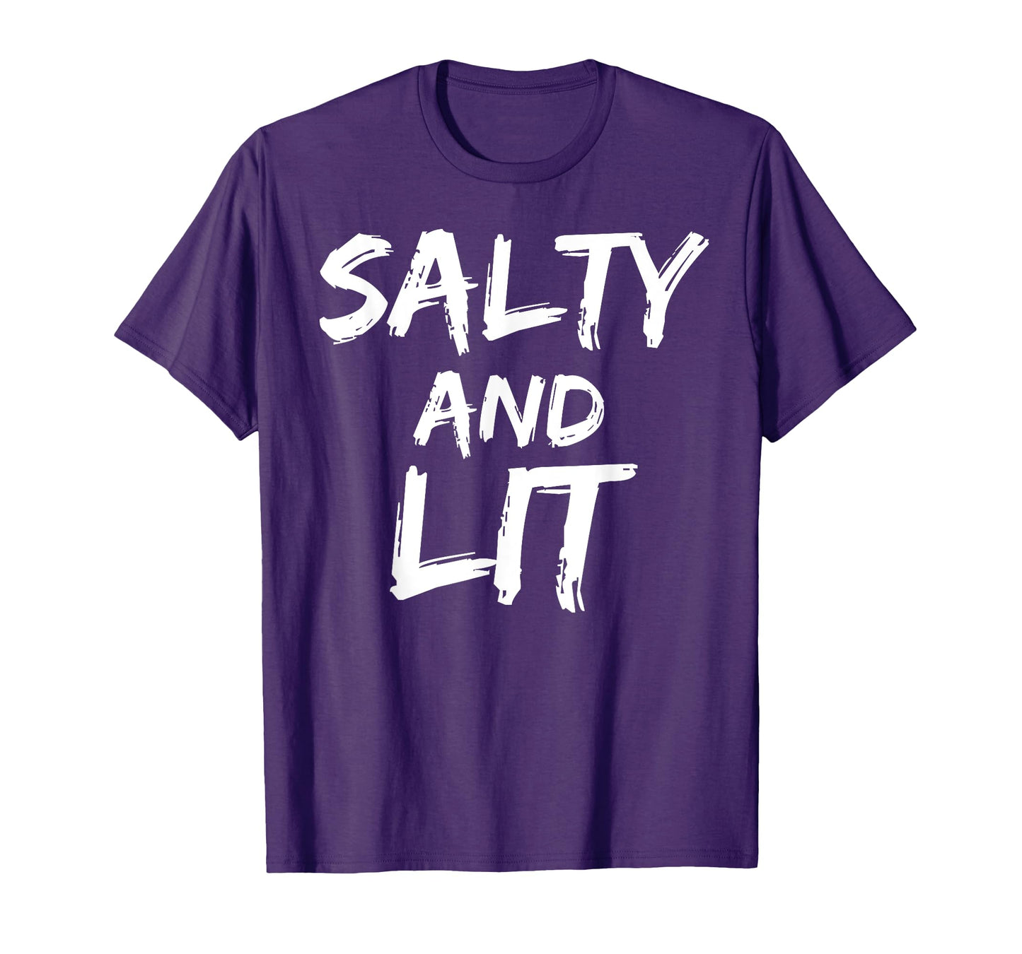 Salty and Lit Shirt for Men Funny Salt & Light Christian Tee T-Shirt
