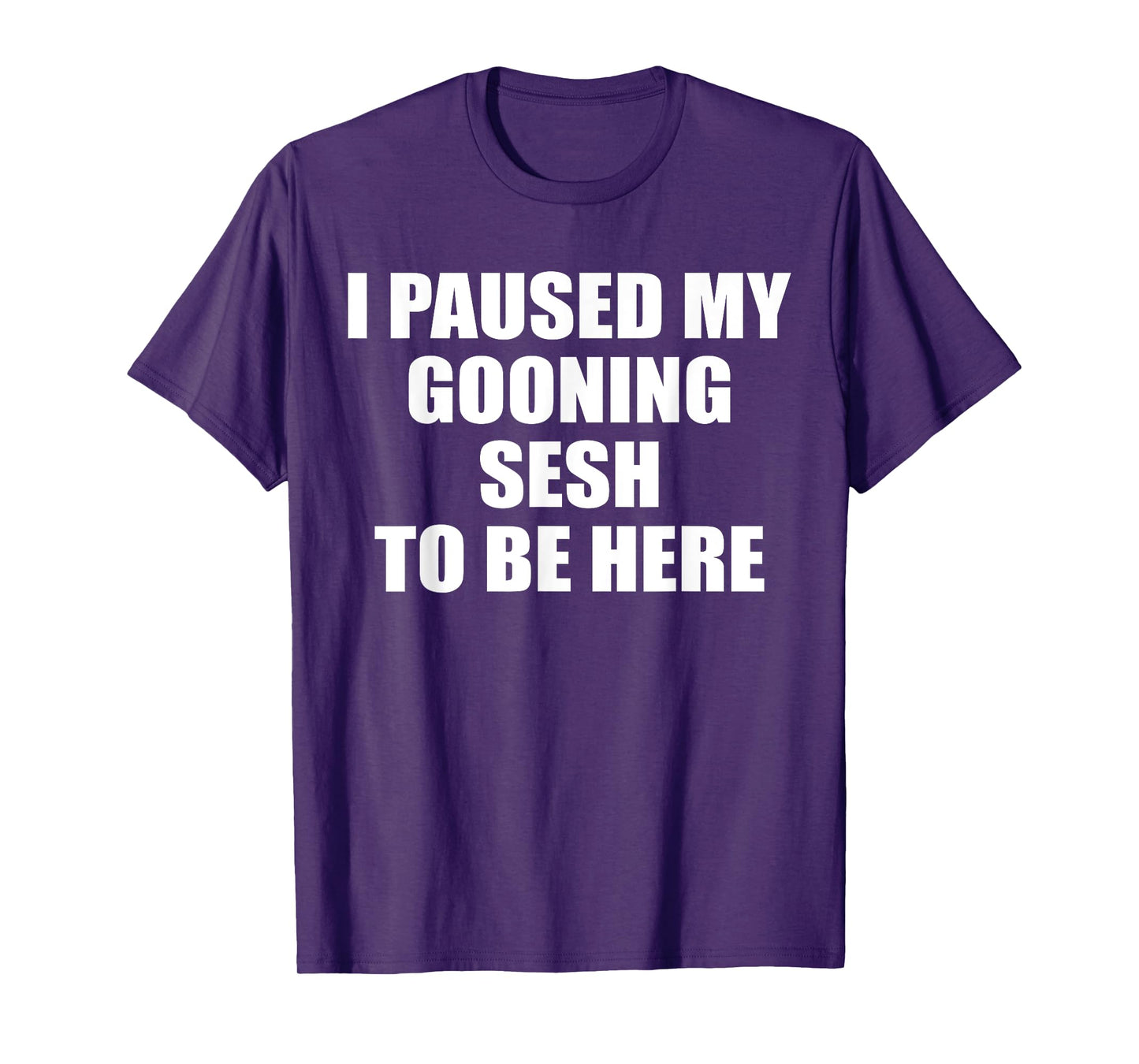 Funny Goon I Paused My Gooning Sesh To Be Here T-Shirt