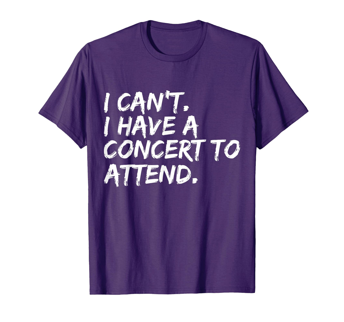 I Can't I Have A Concert To Attend Festival Concert Goer T-Shirt