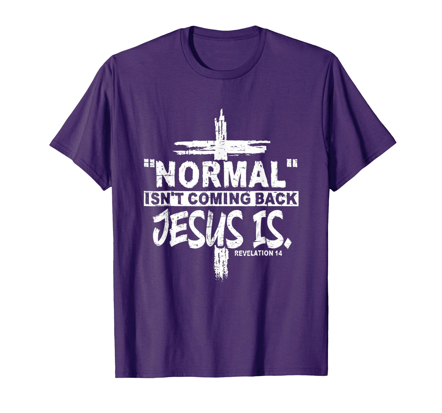Christian Normal Isn't Coming Back Jesus Is Gift Women Men T-Shirt