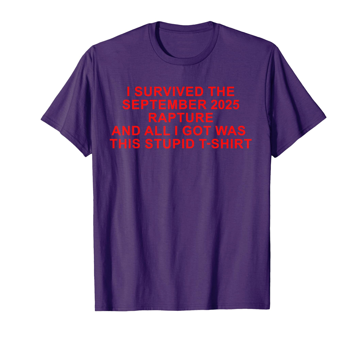 I Survived The Rapture of 2025 and All got was This Meme T-Shirt