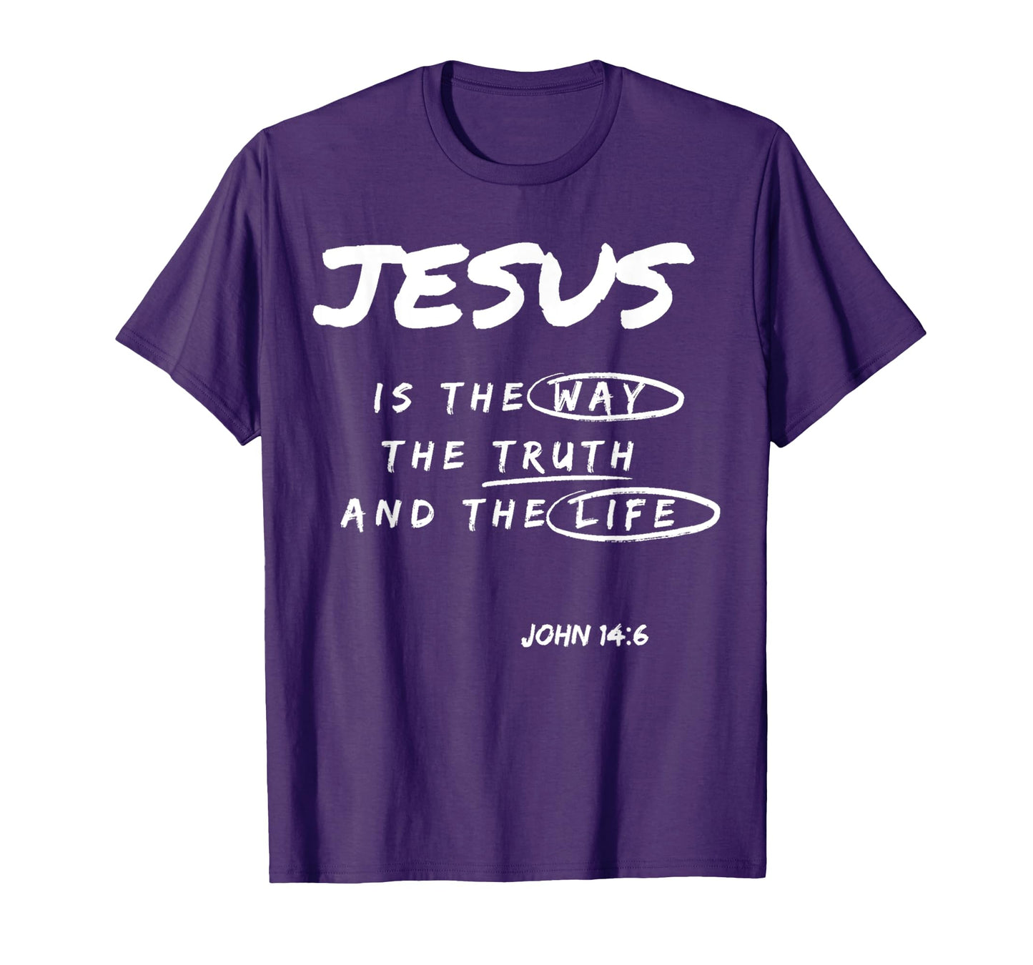 Funny Jesus is The Way The Truth and The Life Christian Gift T-Shirt