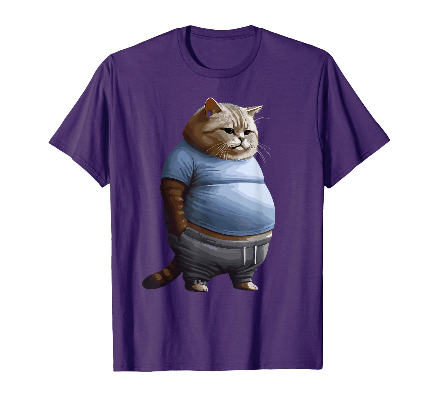 Funny Fat Sad Cat Art Design Fat Kitten Cat Lover Fat Cat T-Shirt