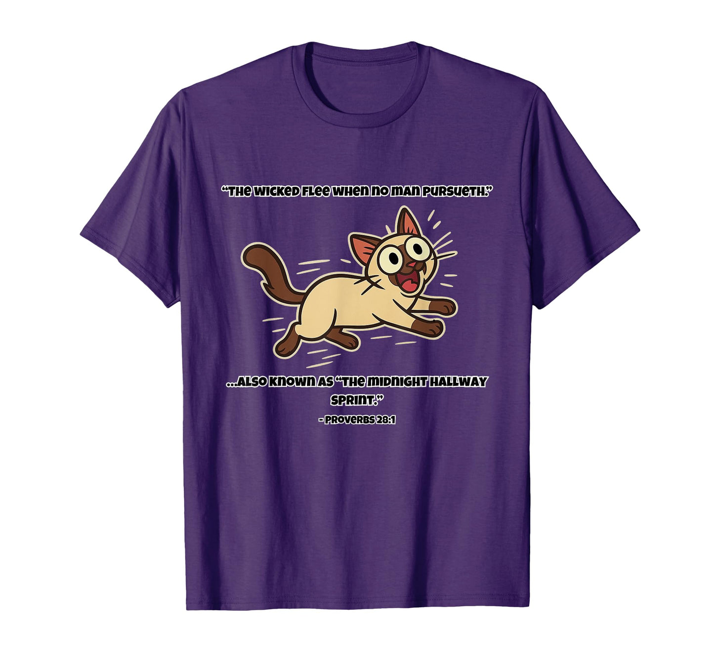 Funny Cat Bible Verse Zoomies Christian Humor for Cat Lovers T-Shirt