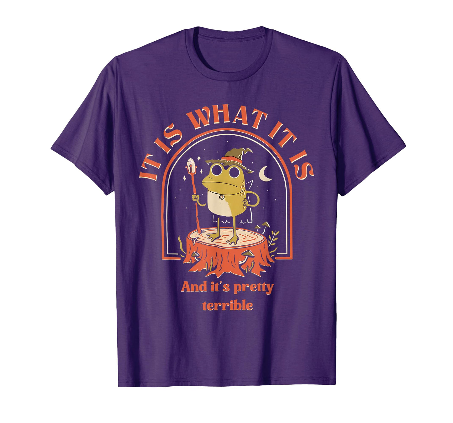 It Is What It Is And It's Pretty Terrible Frog Meme T-Shirt