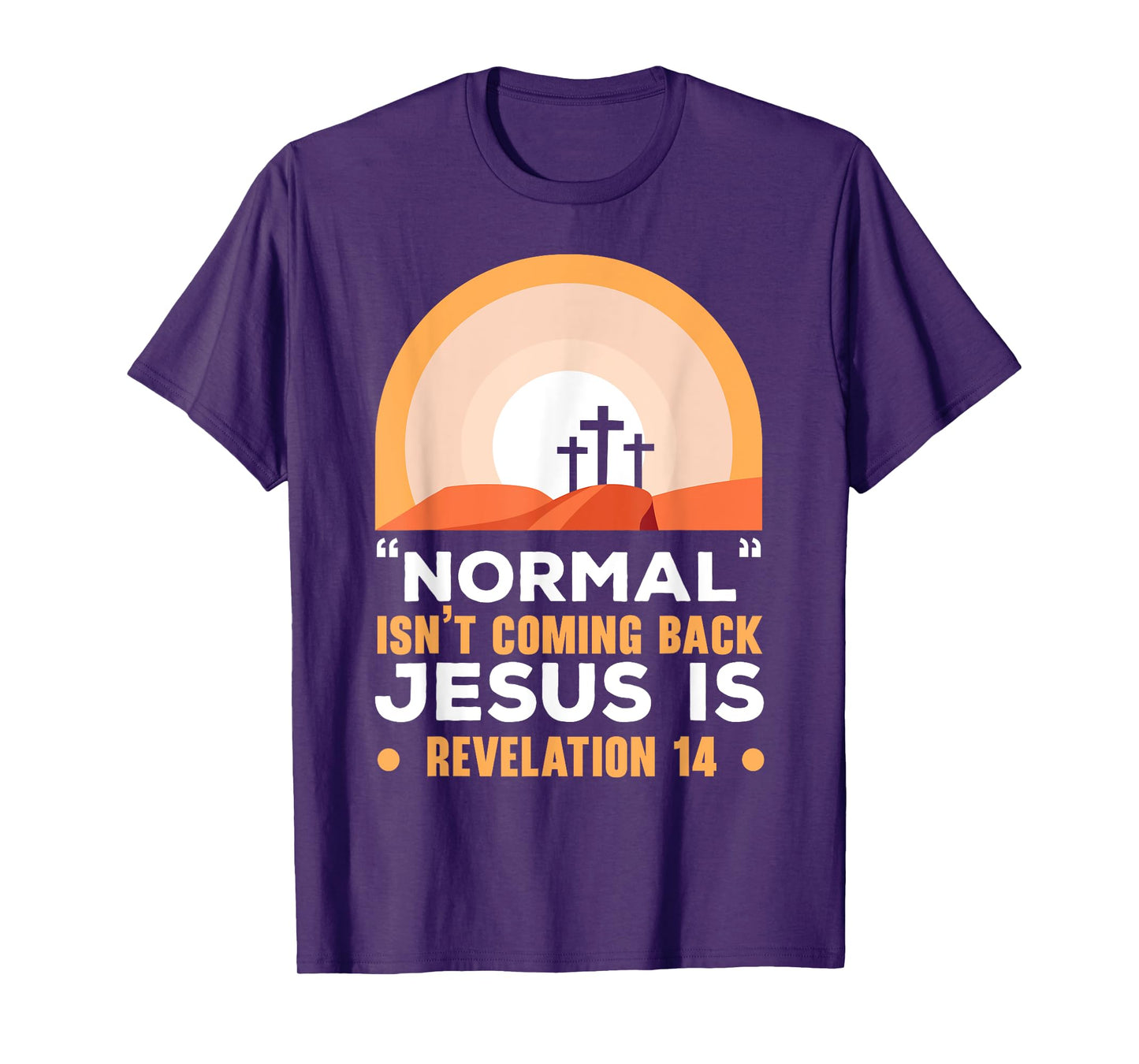 Normal Isn't Coming Back Jesus Is Christian Believer T-Shirt