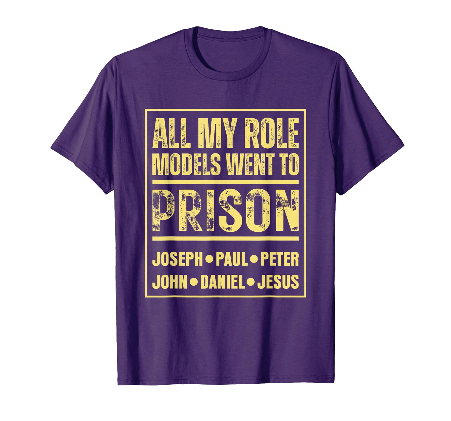 All My Role Models Went To Prison Jesus Paul T-Shirt