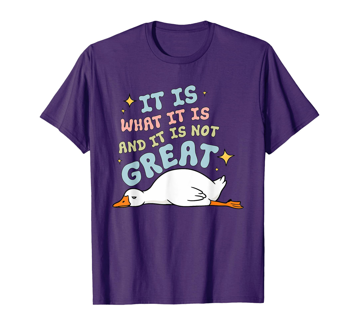It Is What It Is And It Is Not Great Funny Goose Design T-Shirt