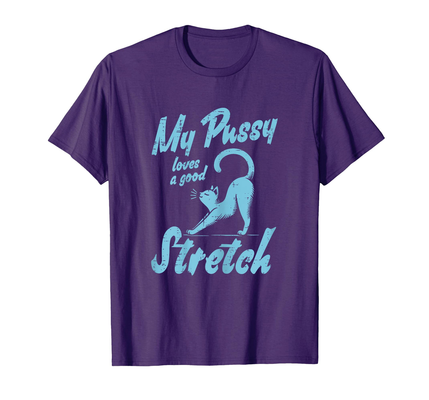 Inappropriate Cat Loves Good Stretch Funny Adult Humor Women T-Shirt