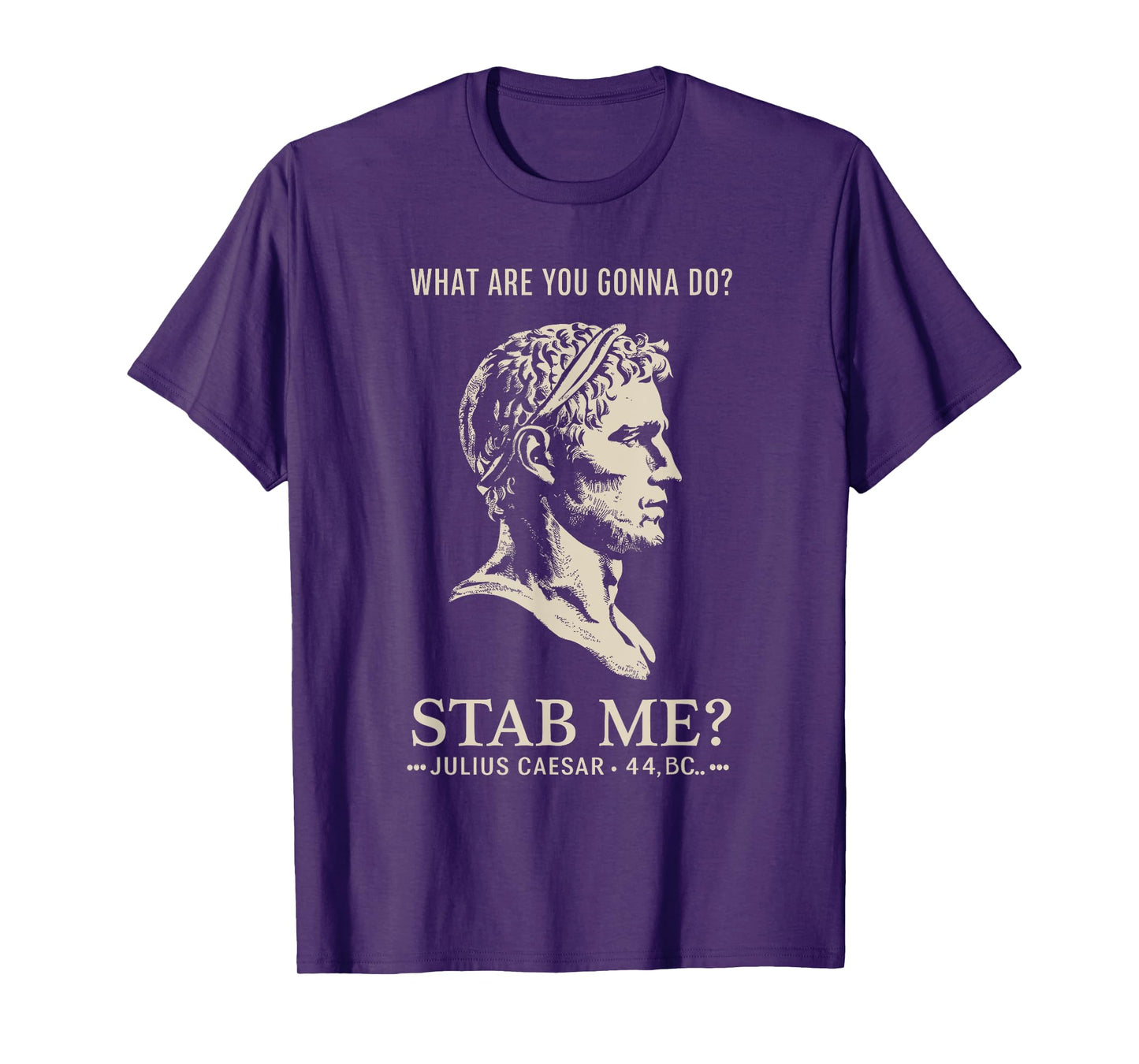 Julius Caesar Stab Me Historical Humor, Roman Empire Meme T-Shirt
