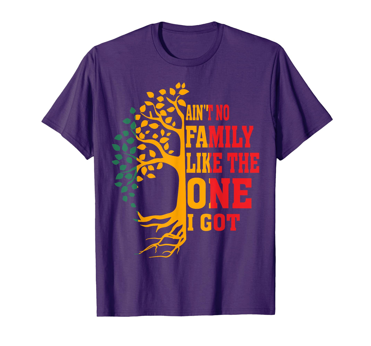 Ain't No Family Like The One I Got Funny Family Reunion 2024 T-Shirt