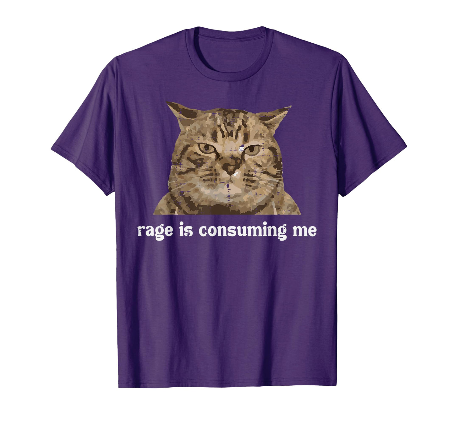 Rage Is Consuming Me Funny Cat Silly Saying Meme Women Men T-Shirt