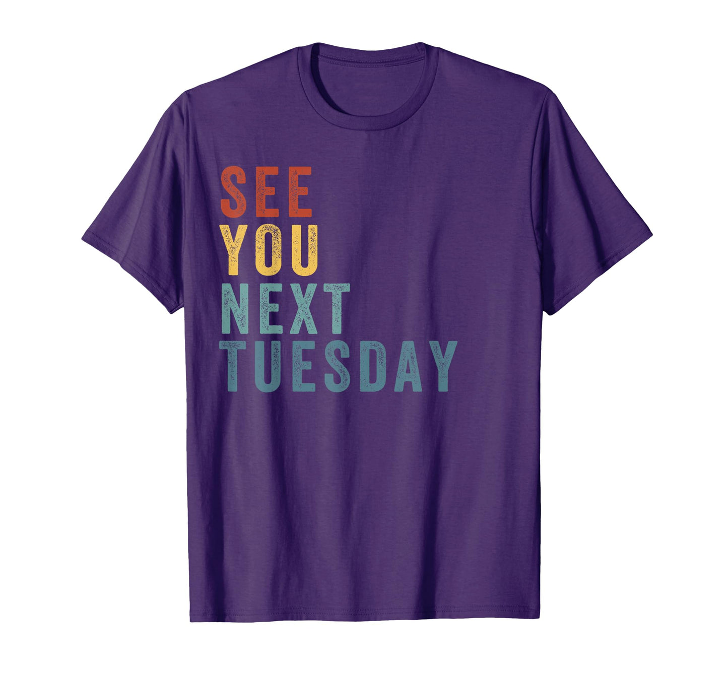 See You Next Tuesday, Salty Funny Quote, Funny Meme T-Shirt