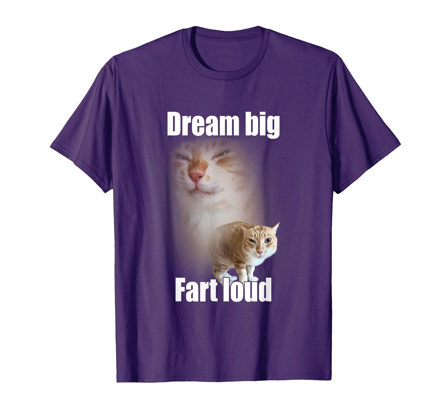 Dream Big Fart Loud Cat Meme Funny Saying Men Women T-Shirt