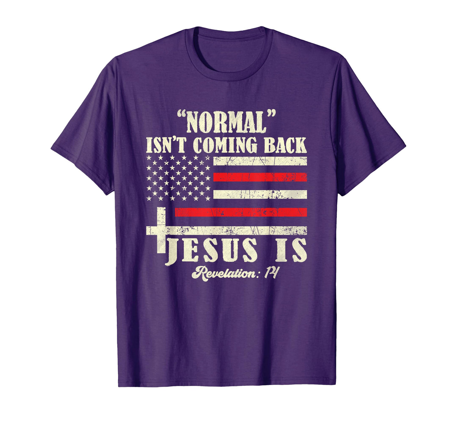 Normal Isn't Coming Back Jesus - church men revelation T-Shirt