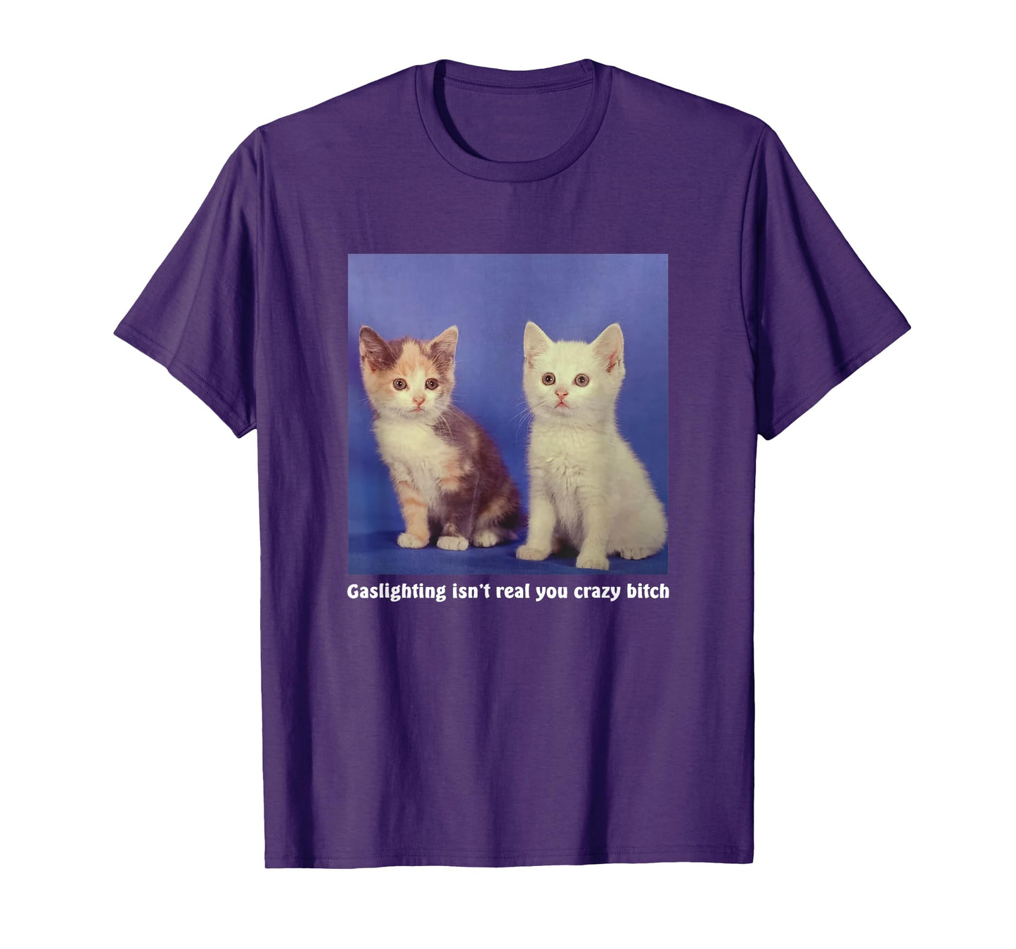 Gaslighting Isn't Real You Crazy B.I.T.C.H Funny Cat Lover T-Shirt for Men Women