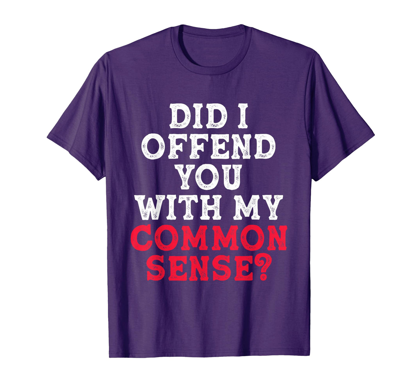 Did I Offend You With My Common Sense? funny sarcasm humor T-Shirt