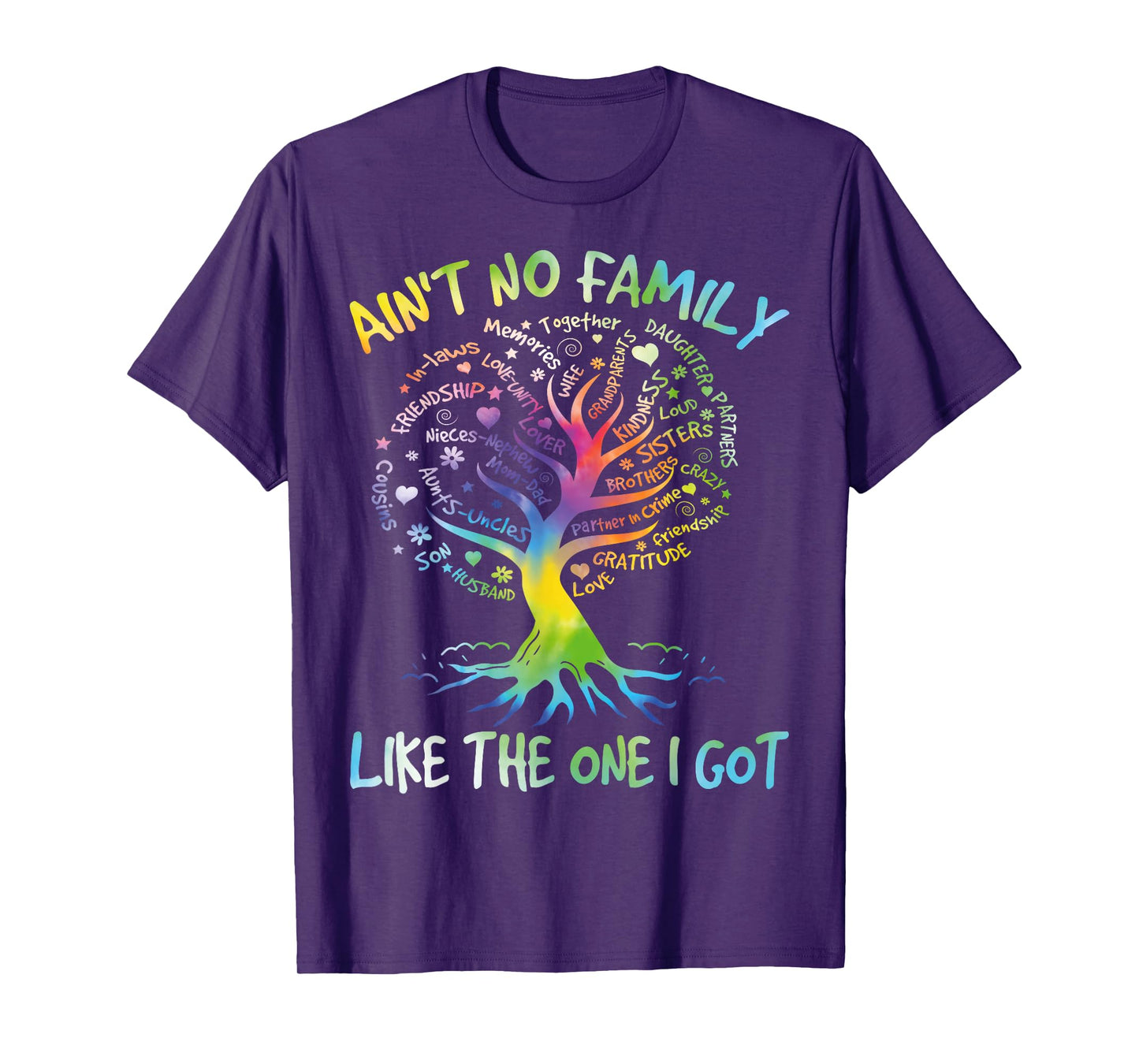 Ain't No Family Like The One I Got Matching Family Reunion T-Shirt