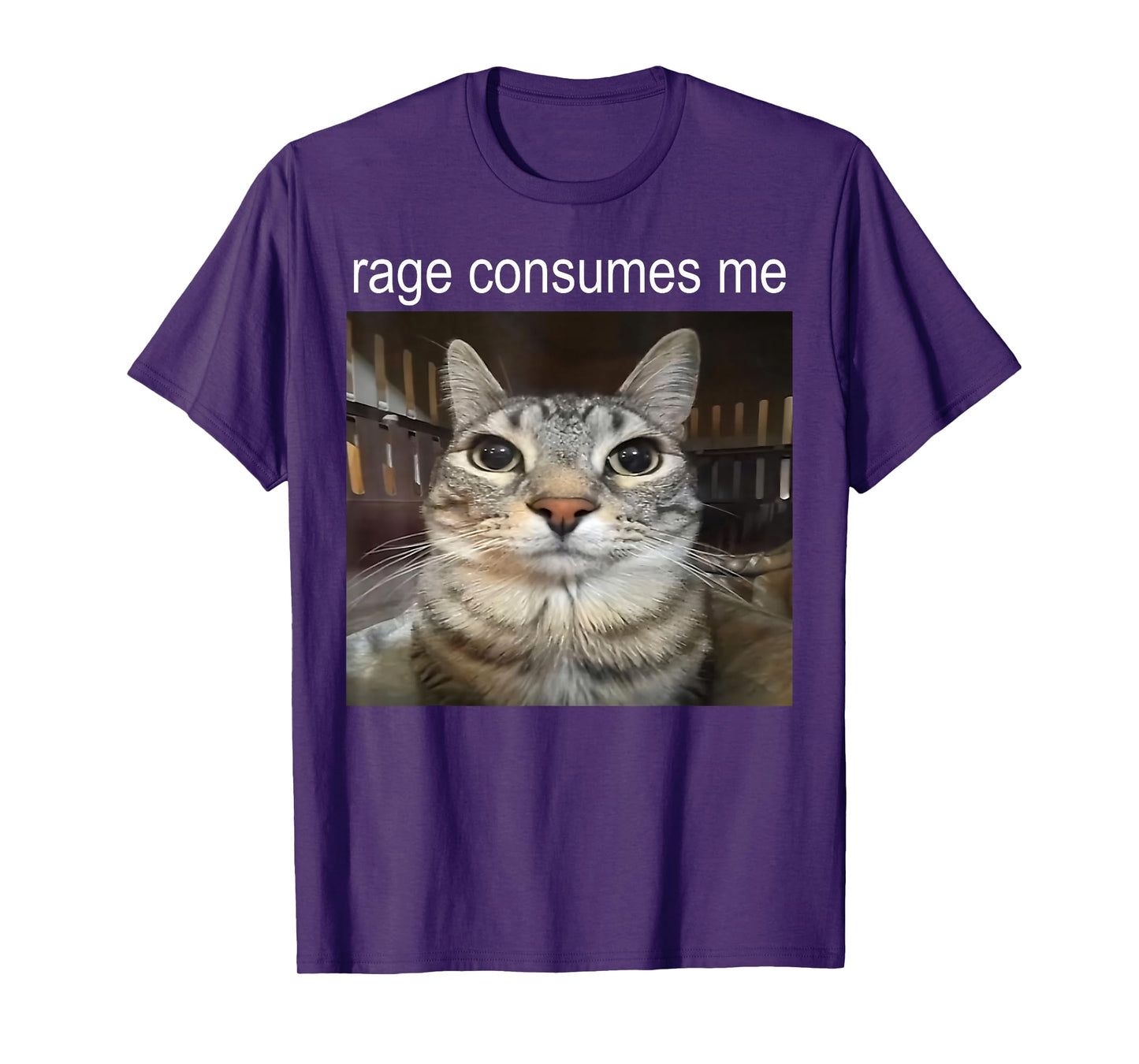 Funny Cat Meme Quote Retro Cat Lover Rage Consumes Me T-Shirt
