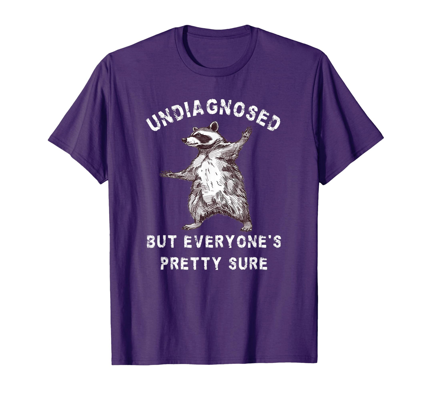 Undiagnosed But Everyone's Pretty Sure Funny Raccoon T-Shirt
