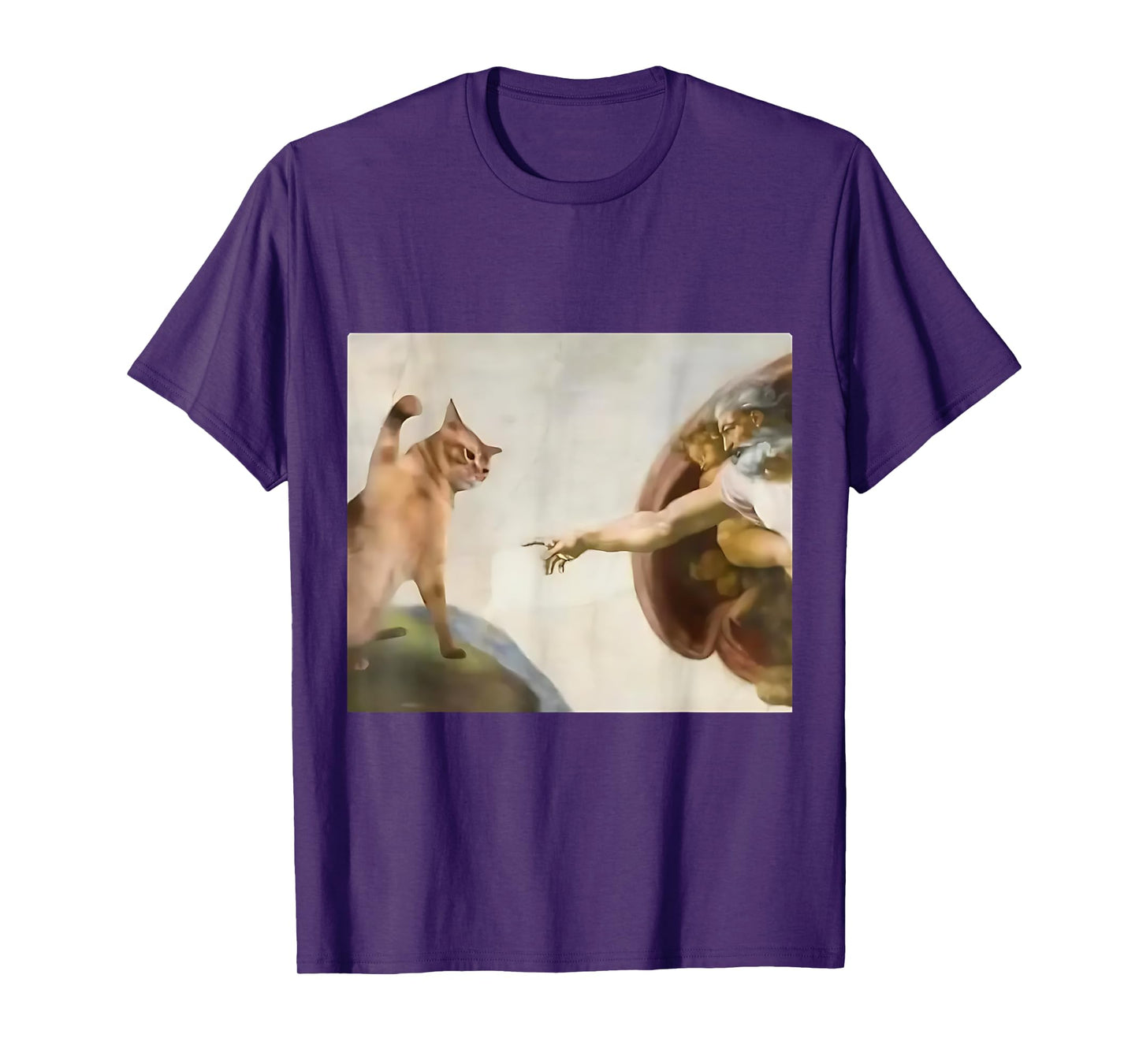 Funny Cat God Creation Of Adam Jesus Gen Z Meme Gifts T-Shirt
