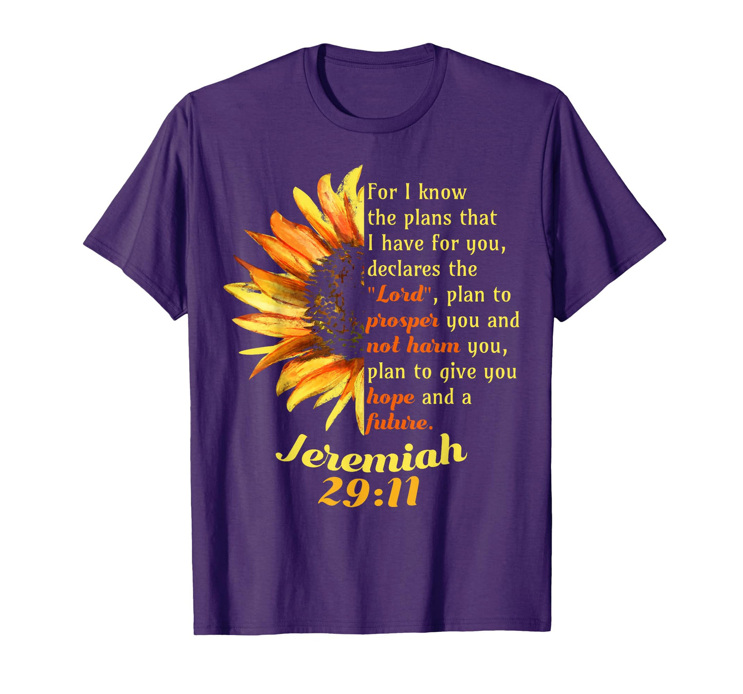 Jeremiah 29:11 Bible Christian Christian T-Shirt