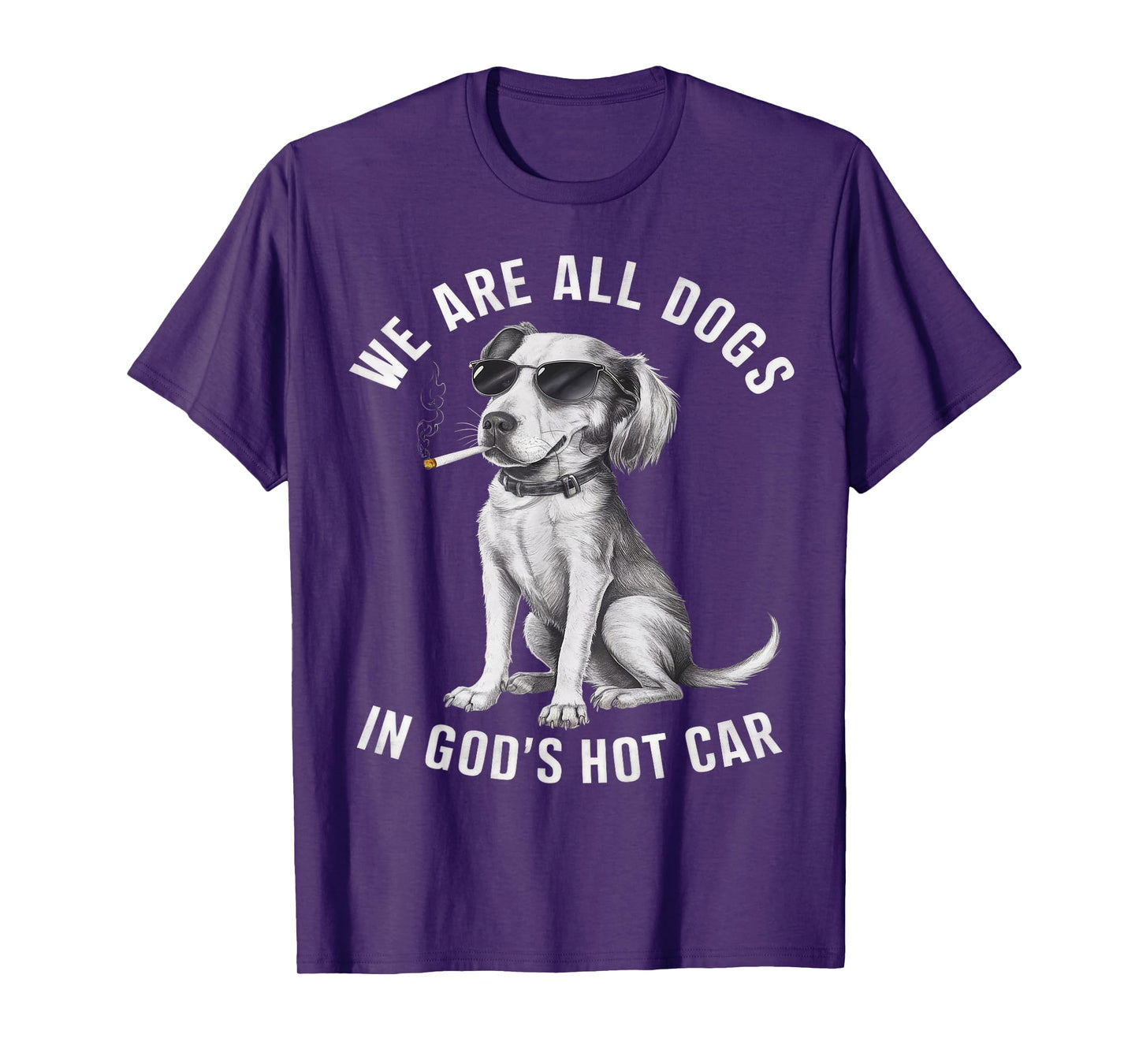We are All Dogs in God's Hot Car Funny Dog Meme Dog Lover T-Shirt