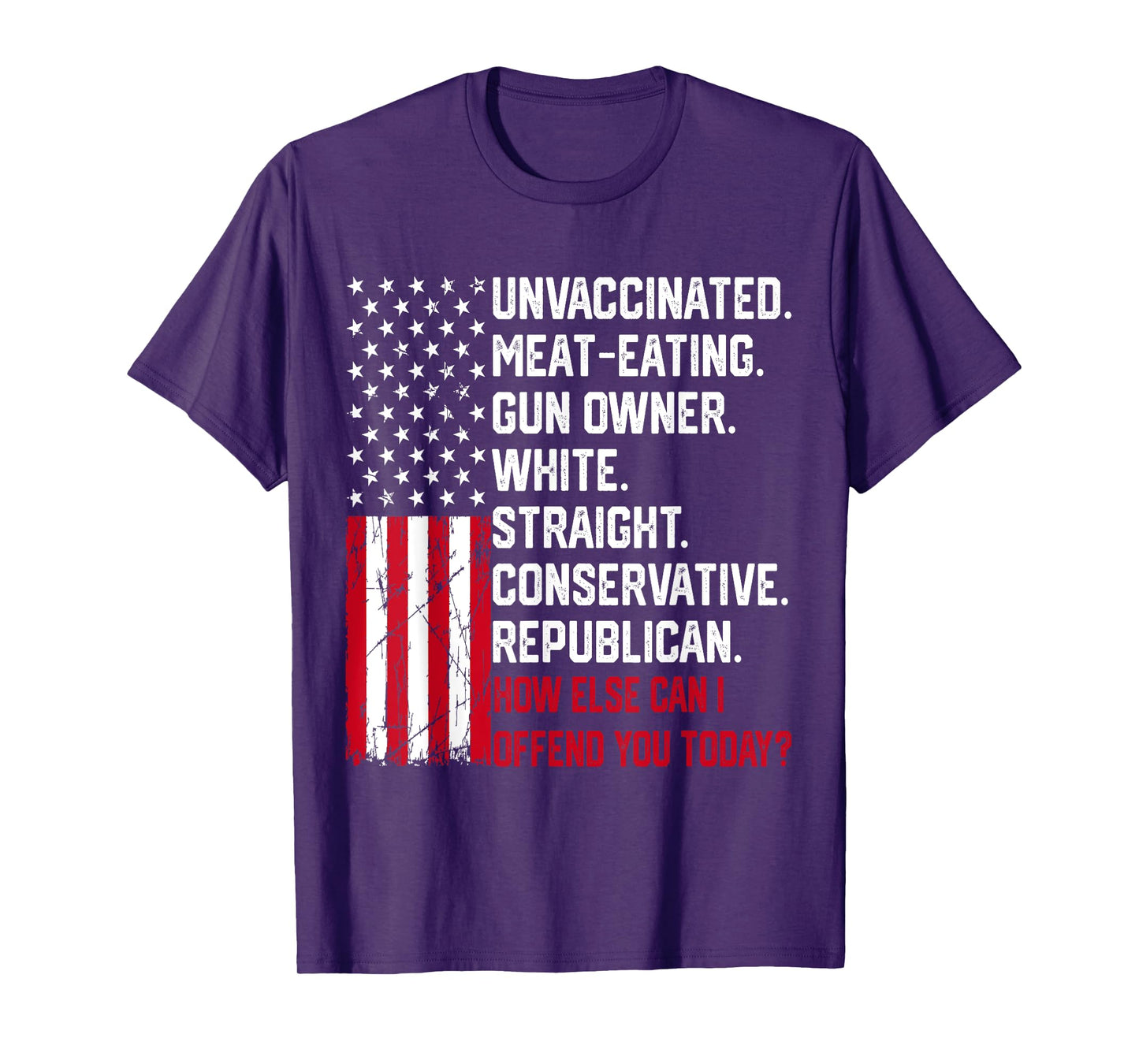 How Else Can I Offend You Today Funny Saying Quote Usa Flag Women Men T-Shirt