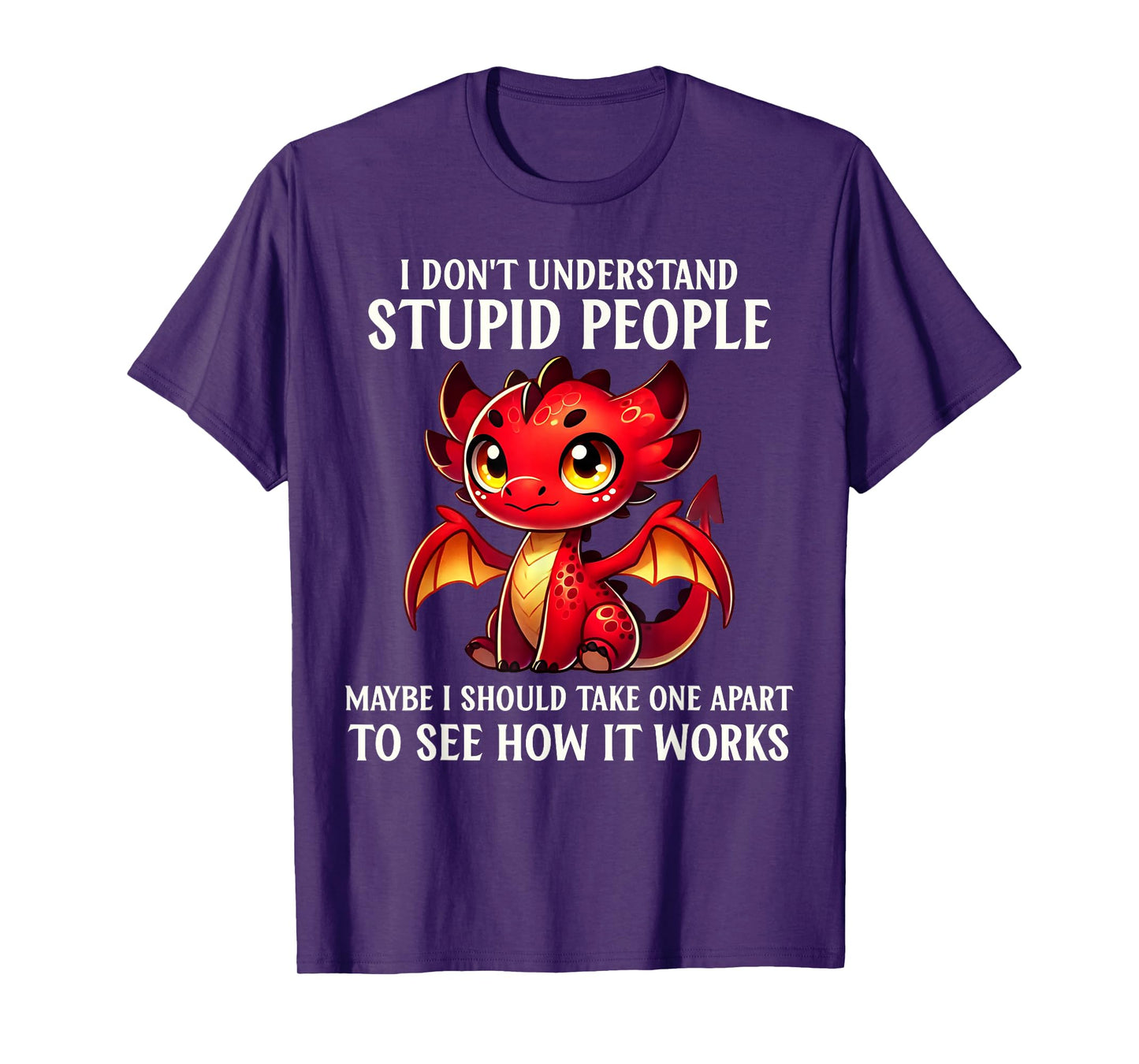 Funny Dragon Lover Humor I Don't Understand Stupid People T-Shirt