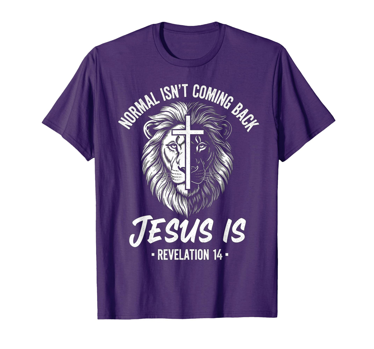 Spiritual Warfare Lion Normal Isn't Coming Back Jesus is T-Shirt