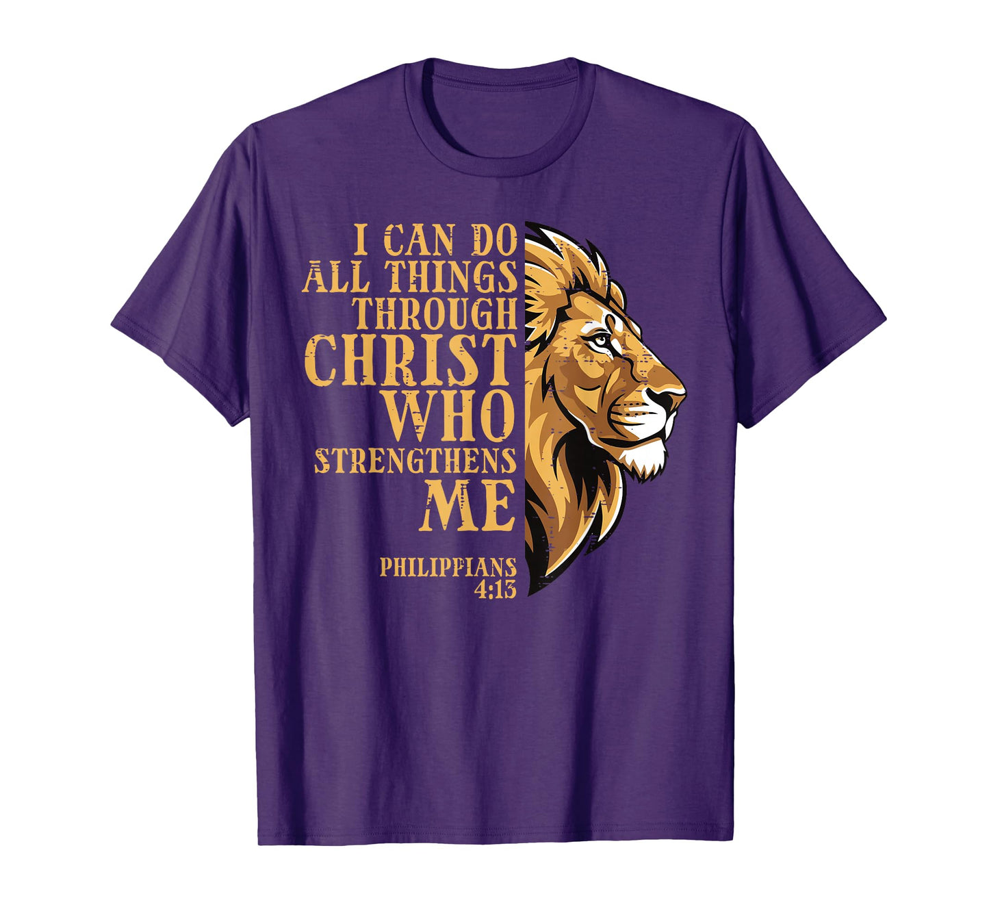 I Can Do All Things Lion Christian God Jesus Men Women Kids T-Shirt
