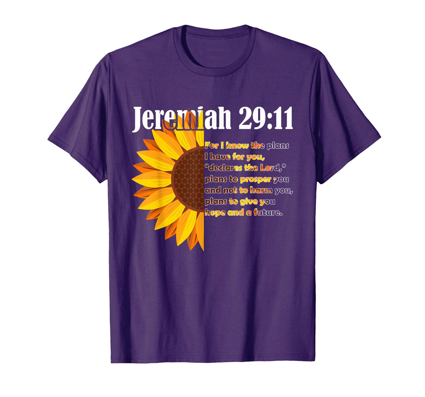 Jeremiah 29:11 Bible Christian Christian T-Shirt