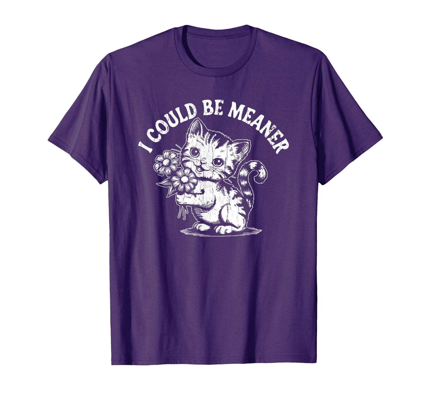 I Could Be Meaner, Cat Meme, Funny Humor, Sarcastic T-Shirt