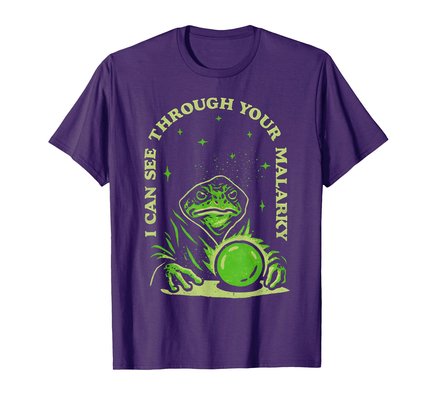 I Can See Through Your Malarky Frog Wizard T-Shirt