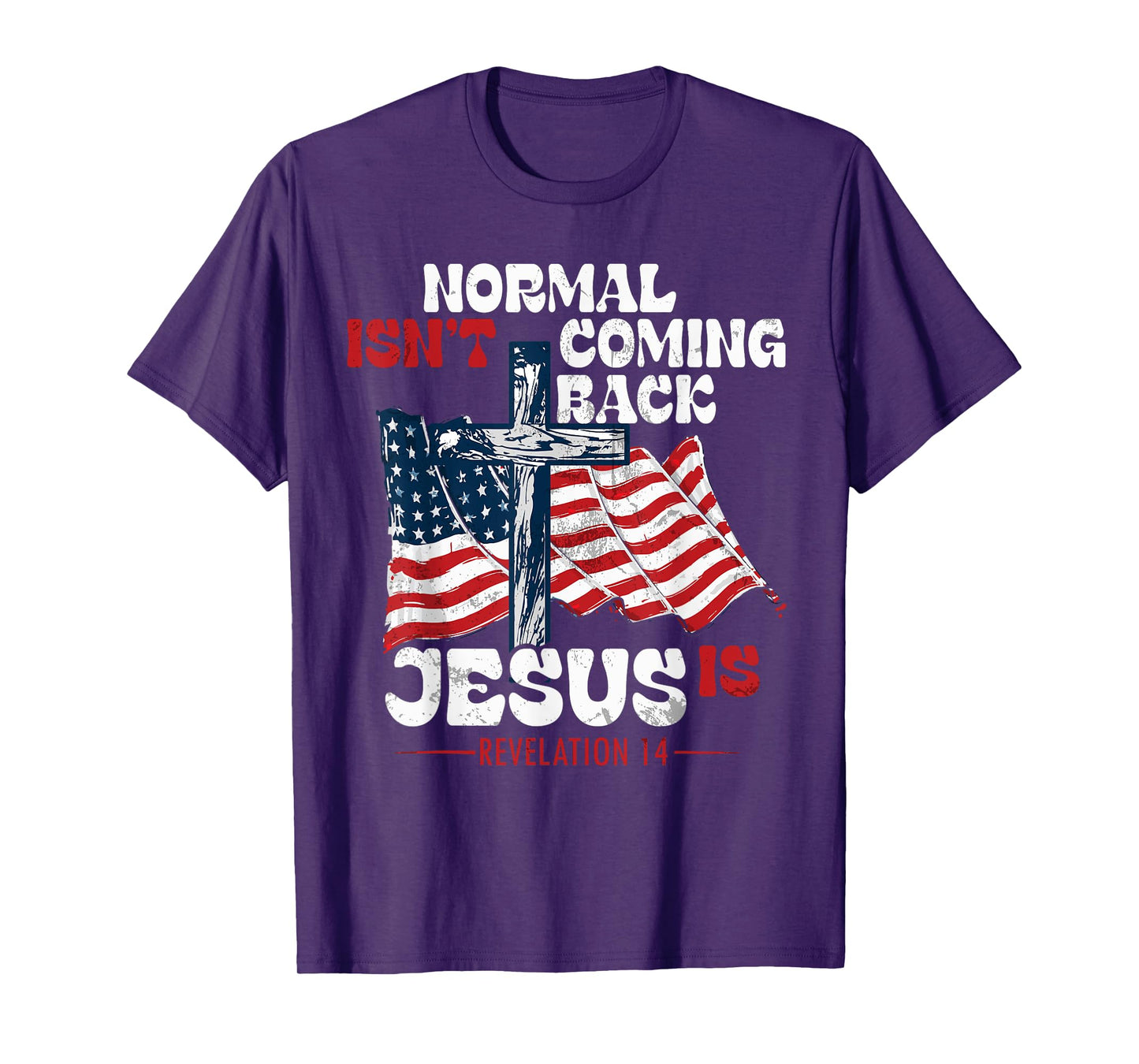 Modern Tees Plus Normal Is not Coming Back Jesus Is Jesus Is Coming Back T-Shirt, Small
